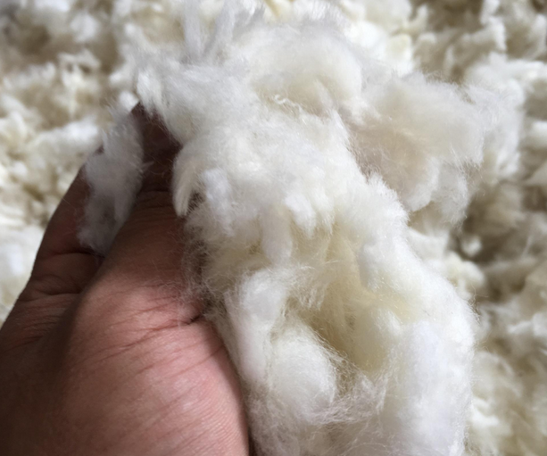 什么面料輕薄保暖&mdash;&mdash;羊毛